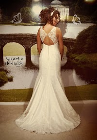 Most Desirable Bridal Shop 1081082 Image 8